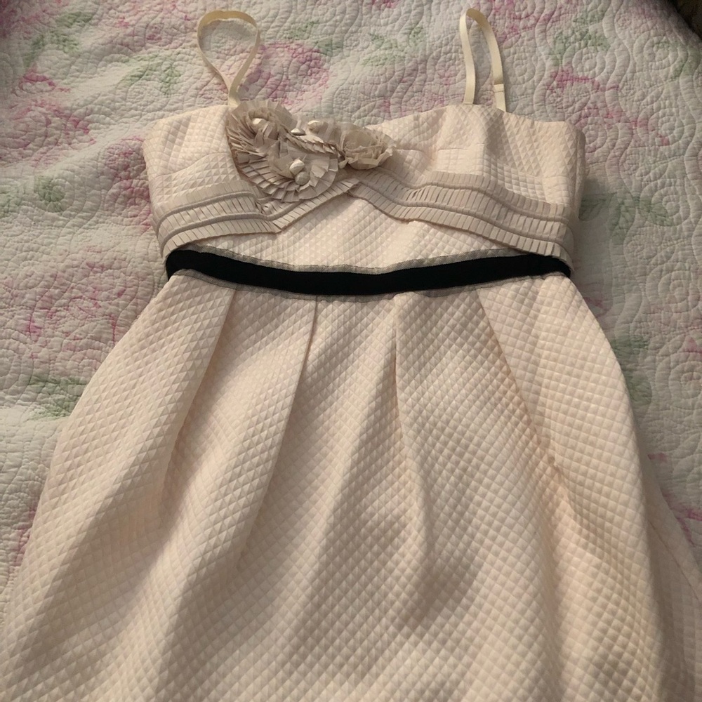 BCBG Taffeta Bone & Black Dress with adjustable straps